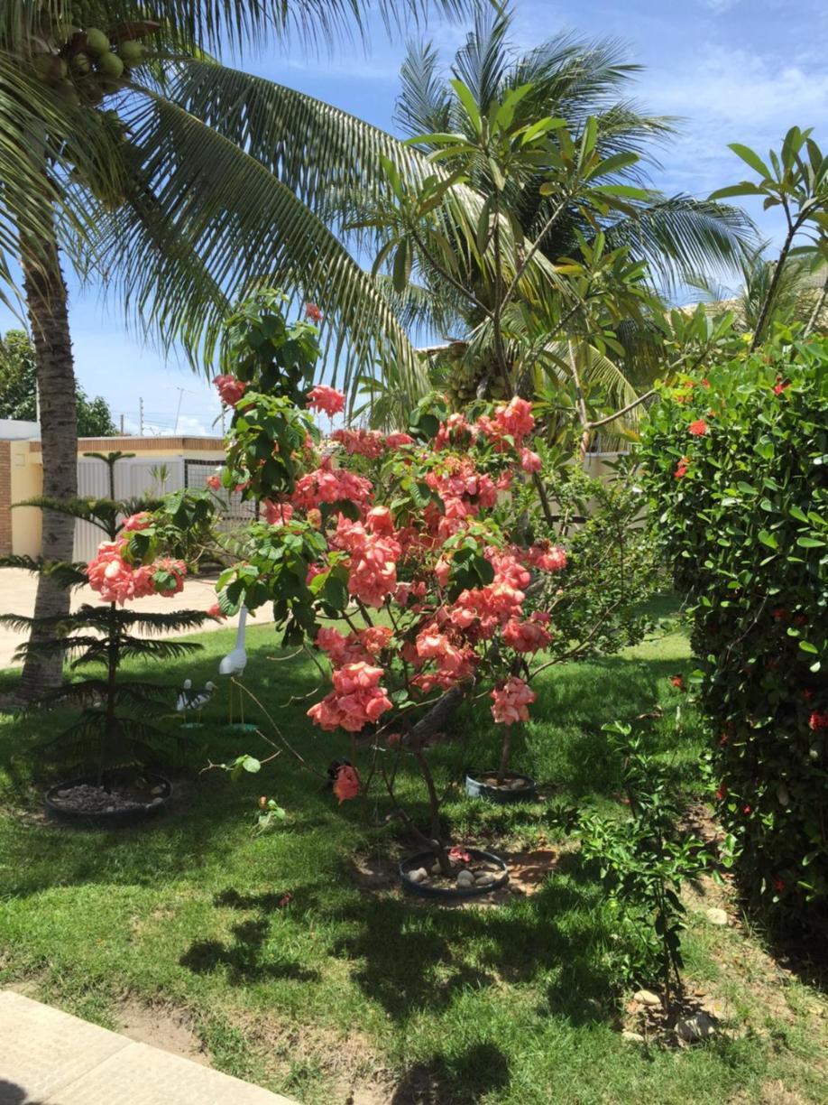 Pousada Villa Joia Barra de Sao Miguel Luaran gambar